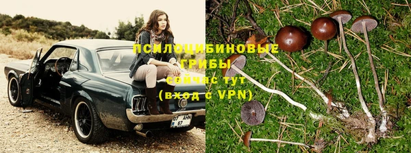 мяу мяу кристалл Вяземский