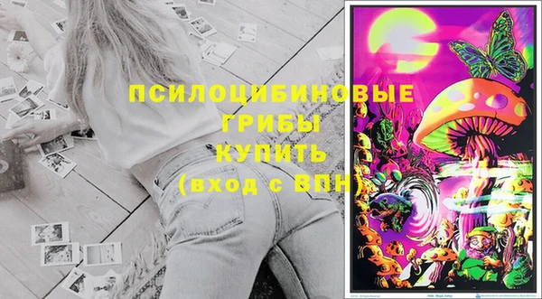 амф Вязьма