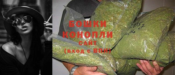 сатива Вязники