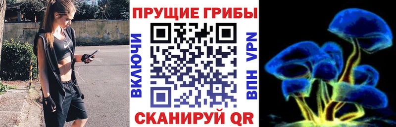 Галлюциногенные грибы Magic Shrooms  продажа наркотиков  гидра зеркало  Мглин 